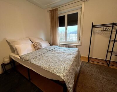 Basel Komfortzimmer – Zentral, Ruhig & Charmant!