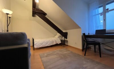 Cozy room in basel, Optimal Location