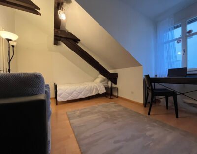 Cozy room in basel, Optimal Location