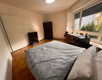 Schönes Zimmer mit Aussicht in Basel