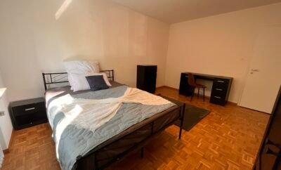 Großes Zimmer Basel City (SBB & Messe)